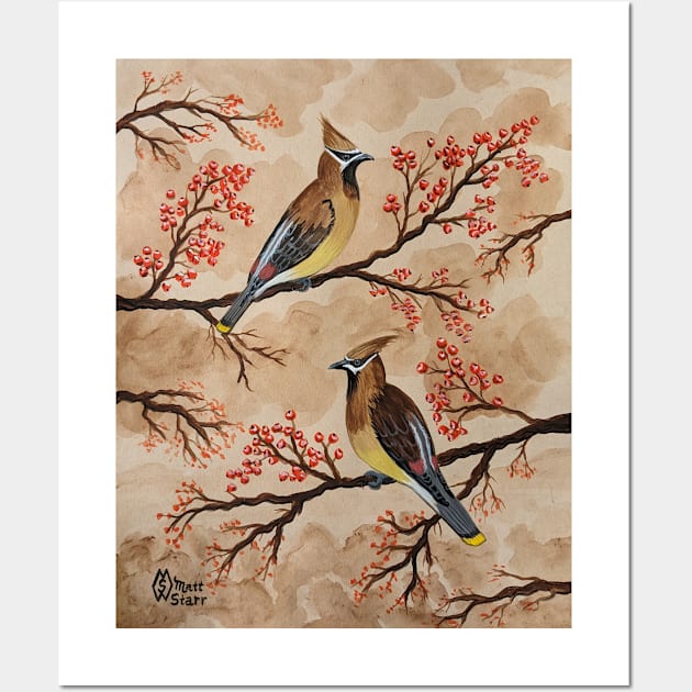Cedar waxwing birds perched in a tree Wall Art by Matt Starr Fine Art